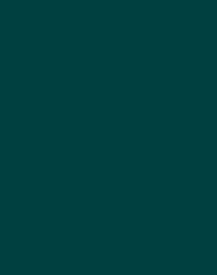 A solid block of colour.