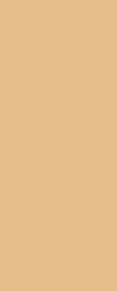 A solid block of colour.