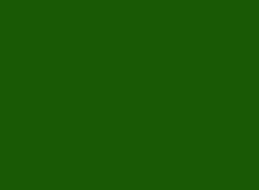 A solid block of colour.