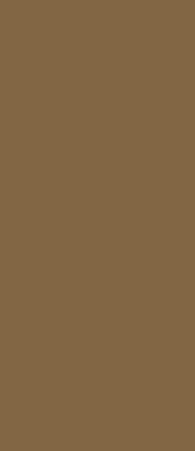 A solid block of colour.