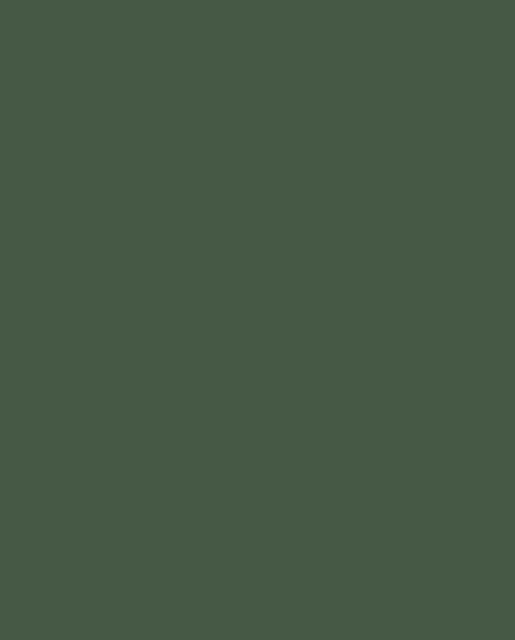 A solid block of colour.