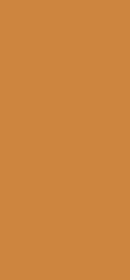 A solid block of colour.